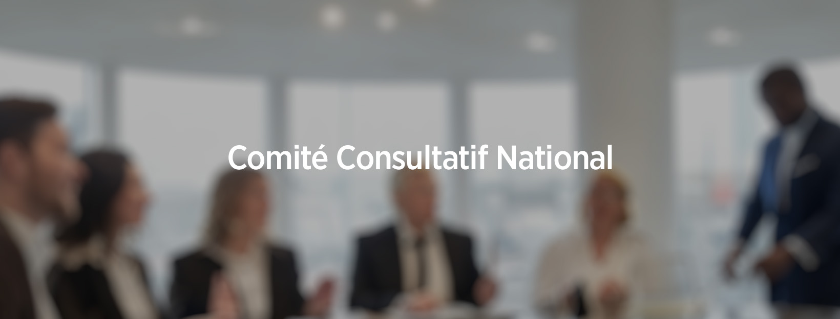 Compte-rendu du comité consultatif national (CCN) du 26 mars 2024