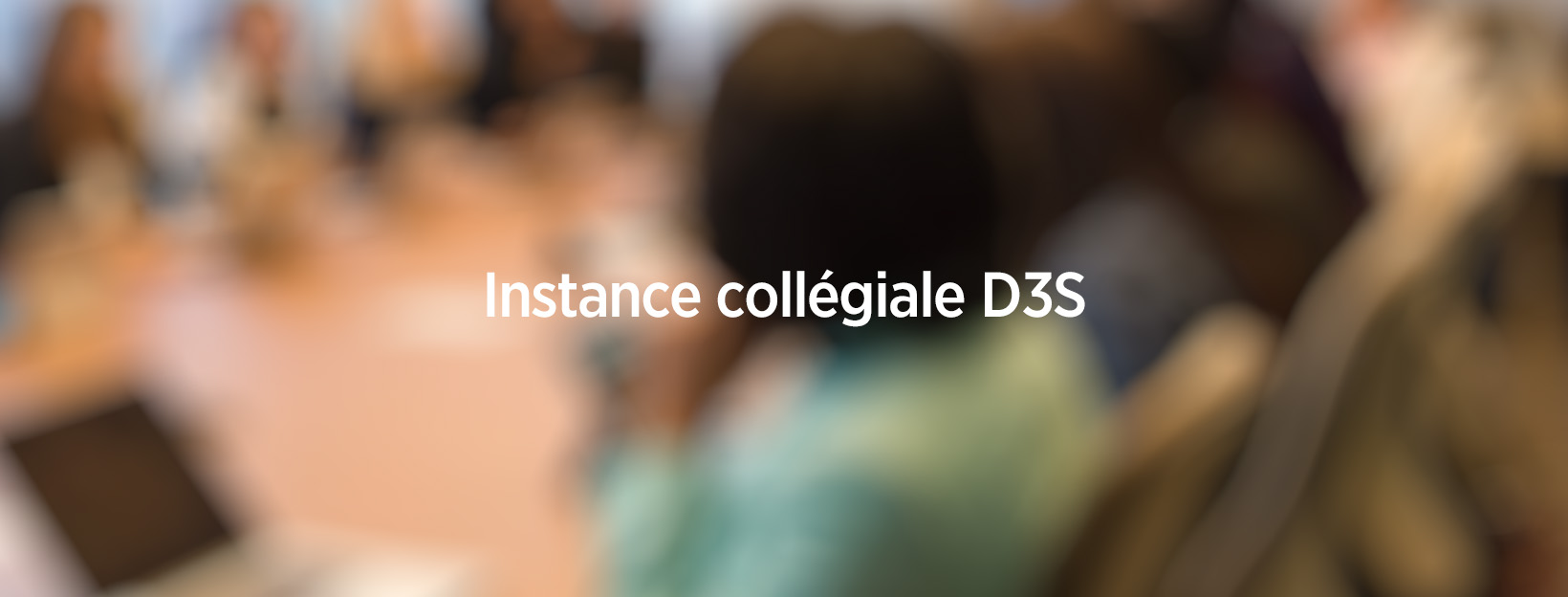 Instance collégiale D3S du 26 janvier 2024 – Des avancées fortes s’imposent pour restaurer l’attractivité du corps et des emplois !